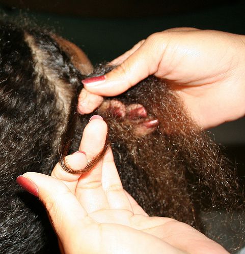 hands holding hair while braiding