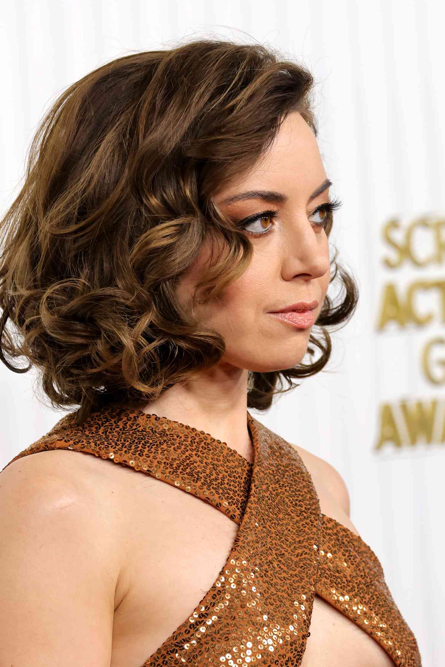 Aubrey Plaza with multidimensional brown hair