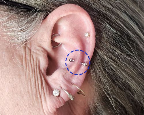 Ear with a snug piercing and custom illustration