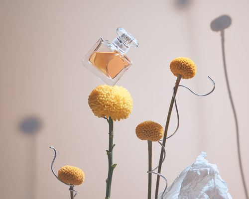 bottle of perfume balancing on yellow flower