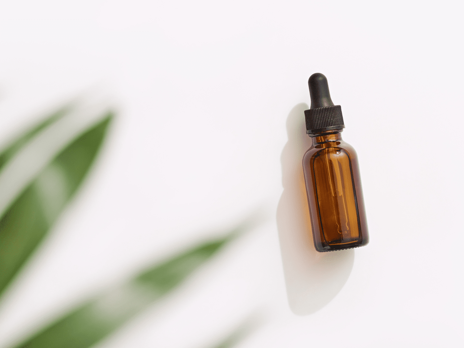 Image of a brown glass dropper bottle and leaves in the corner