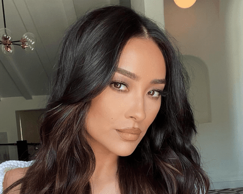 shay mitchell selfie with rich brown hair color