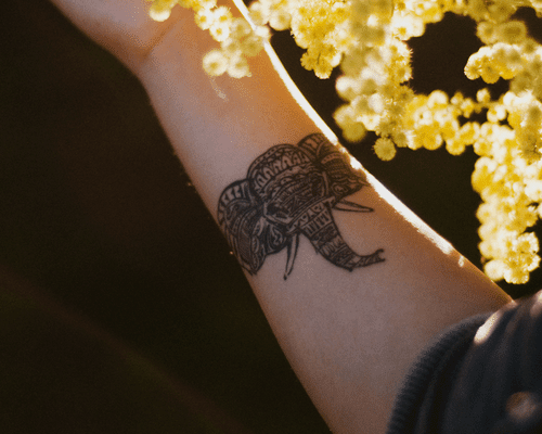 elephant tattoo on forearm against flower background