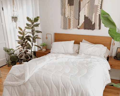 bedroom with white bedding and plants