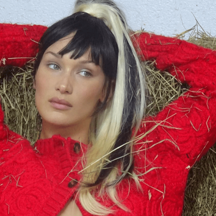 Bella Hadid in a two-toned ponytail